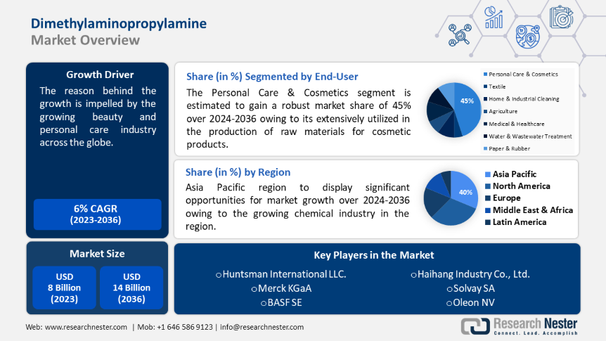 Dimethylaminopropylamine Market
